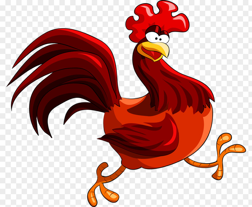 Cock Red Junglefowl Rooster Royalty-free Clip Art PNG