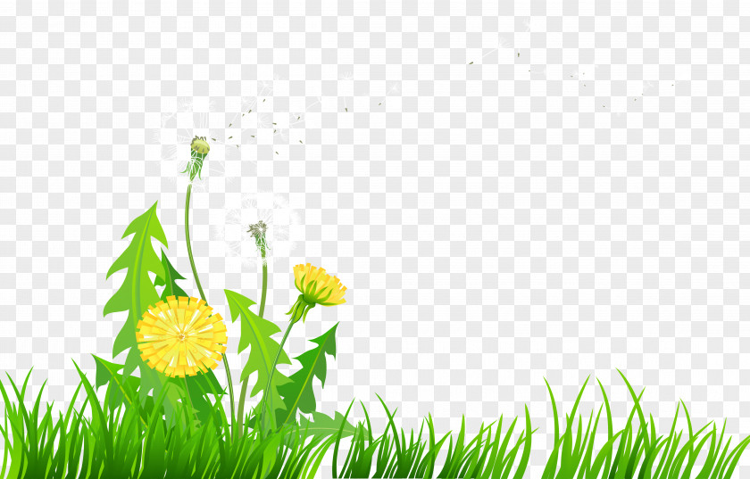 Dandelion Cliparts Flower Clip Art PNG
