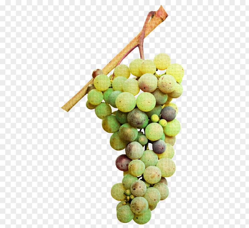Grape Sultana Verjuice Seedless Fruit Seed Extract PNG
