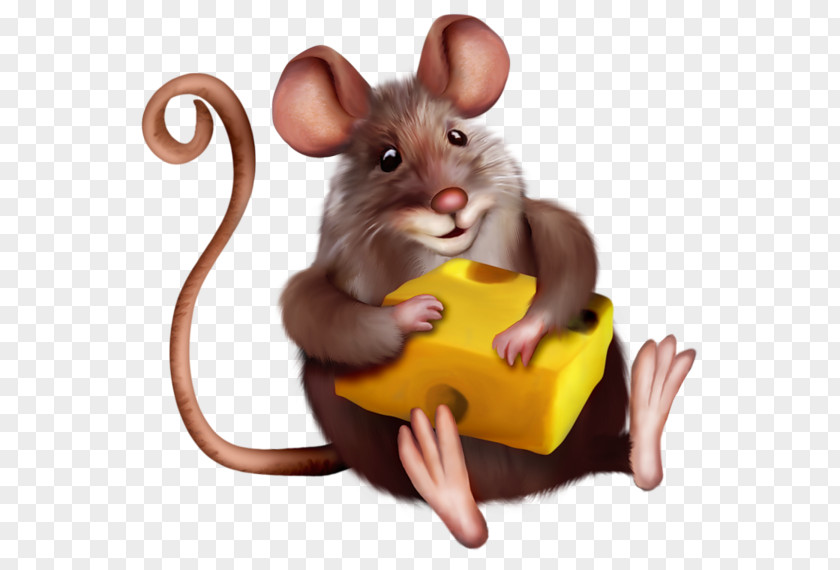 Mouse With Cheese Clipart Cartoon Macaroni And Clip Art PNG