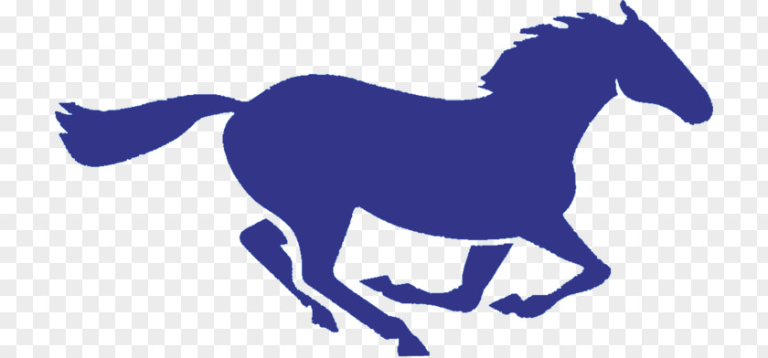 Mustang San Dieguito Academy National Secondary School Canyon Crest La Costa High PNG