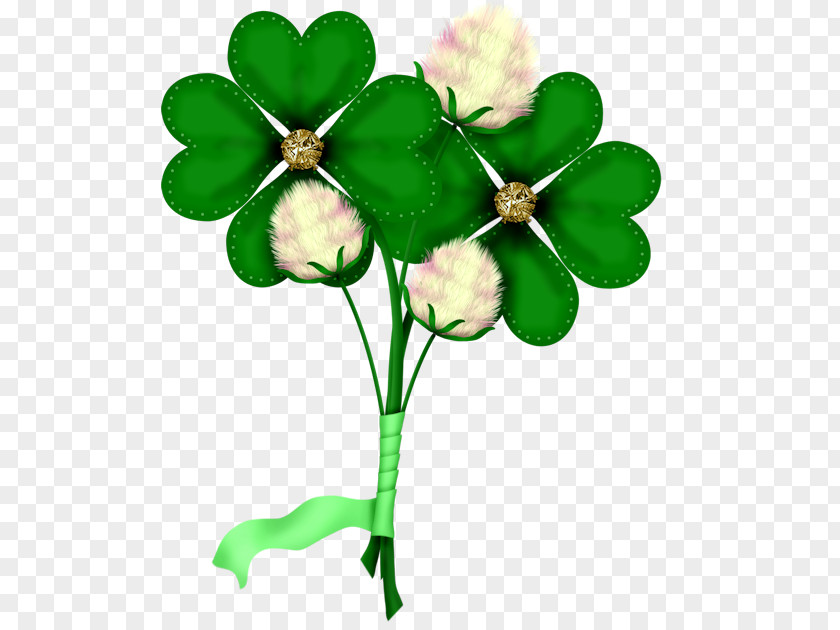 Paddy Graphic Design Blog Saint Patrick's Day Clip Art PNG