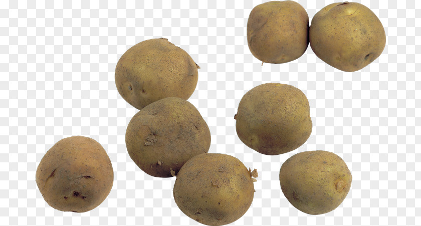 Potato Food Vegetable Clip Art PNG