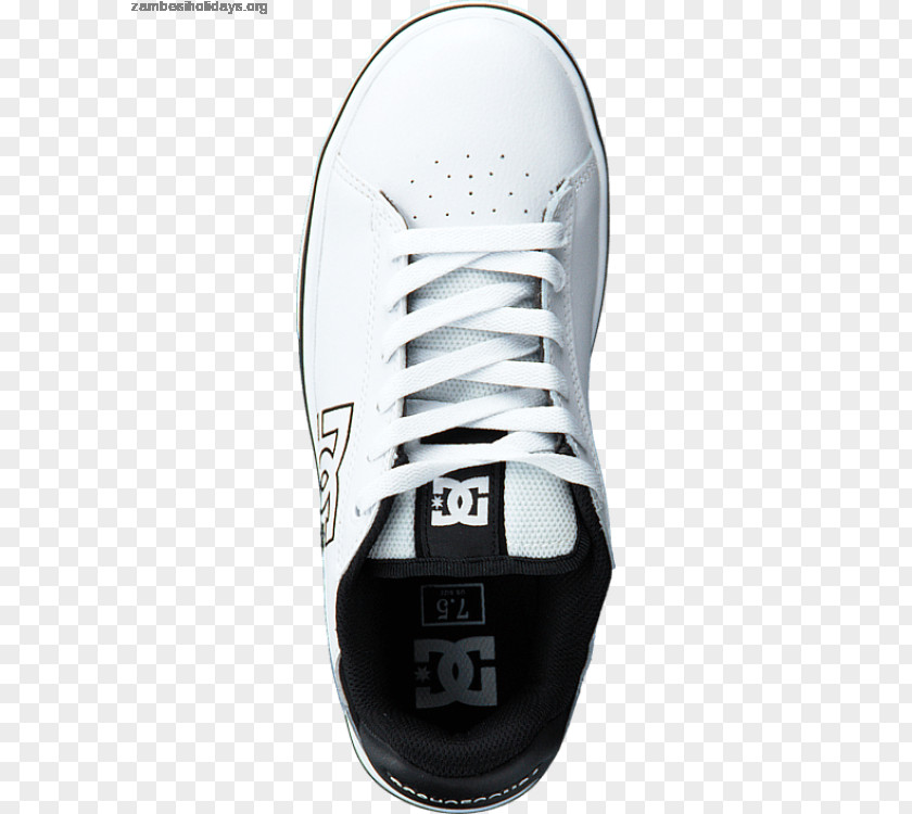 Sport Shoe Sneakers Sportswear Brand PNG