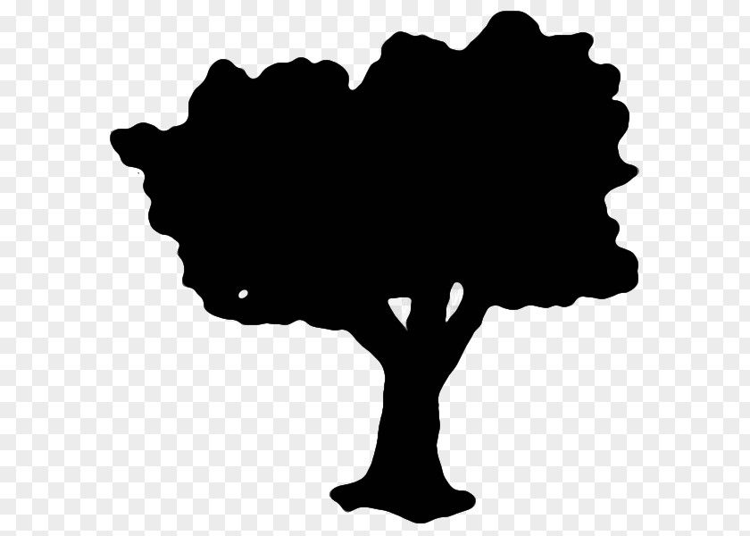 Tree Black Silhouette White Clip Art PNG