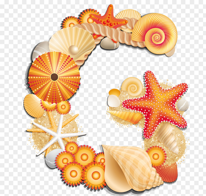 Beach Letter Shell Alphabet Clip Art PNG