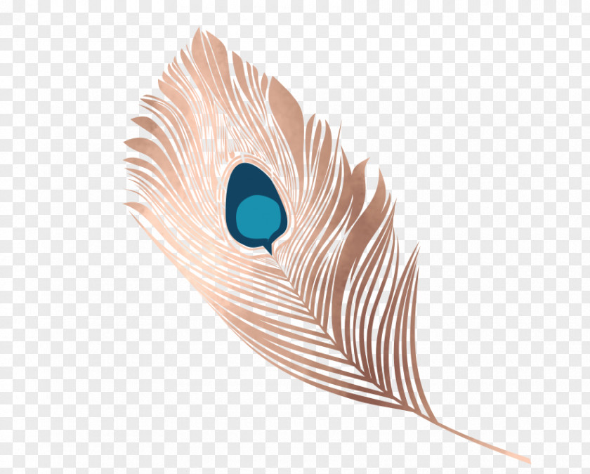 Feather Material Eye PNG