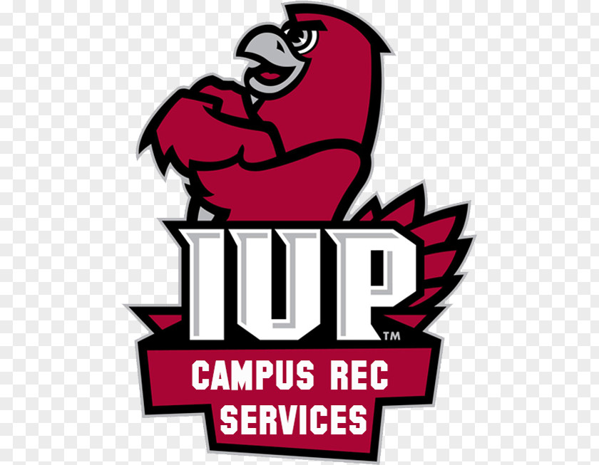 Outdoors Agencies Indiana University Of Pennsylvania IUP Crimson Hawks Football Men's Basketball Edinboro PNG