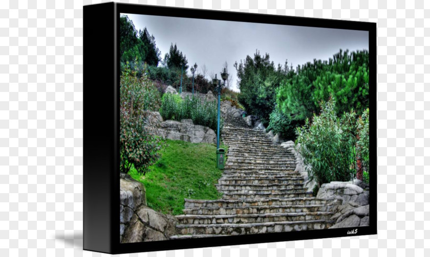 Stairway To Heaven Landscape Nature Tree Wall Meter PNG