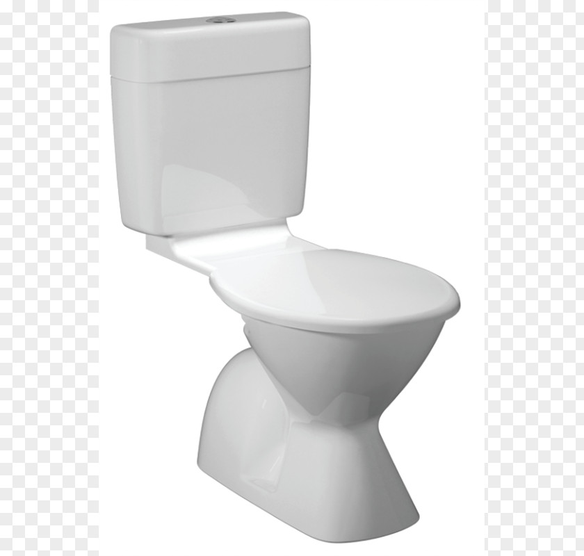 Toilet Pan & Bidet Seats Surtec Dual Flush PNG