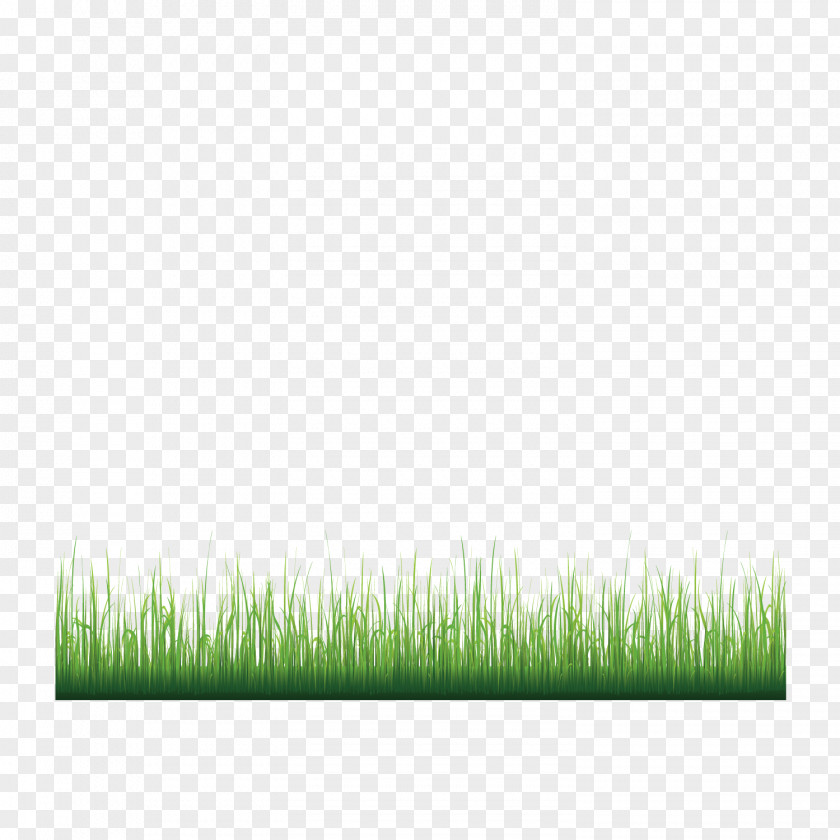 Vector Green Grass Decoration Landscape Display Resolution PNG