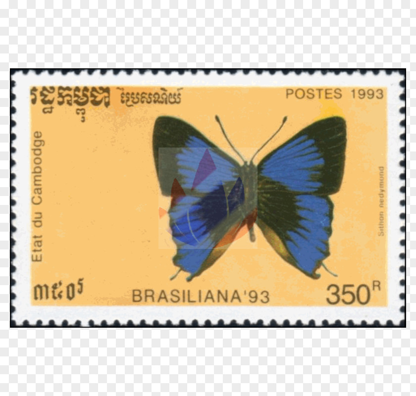 Butterfly Brush-footed Butterflies Postage Stamps Fauna Text Messaging PNG
