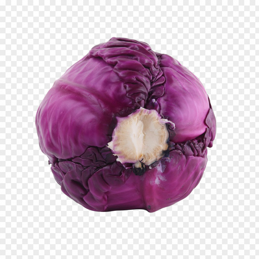 Fresh Nutritious Purple Cabbage Red Violet Vegetable PNG