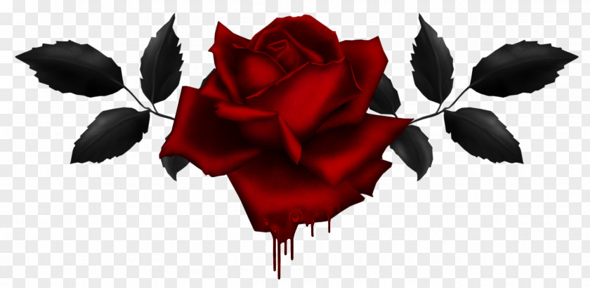 Gothic Rose Image Display Resolution Clip Art PNG