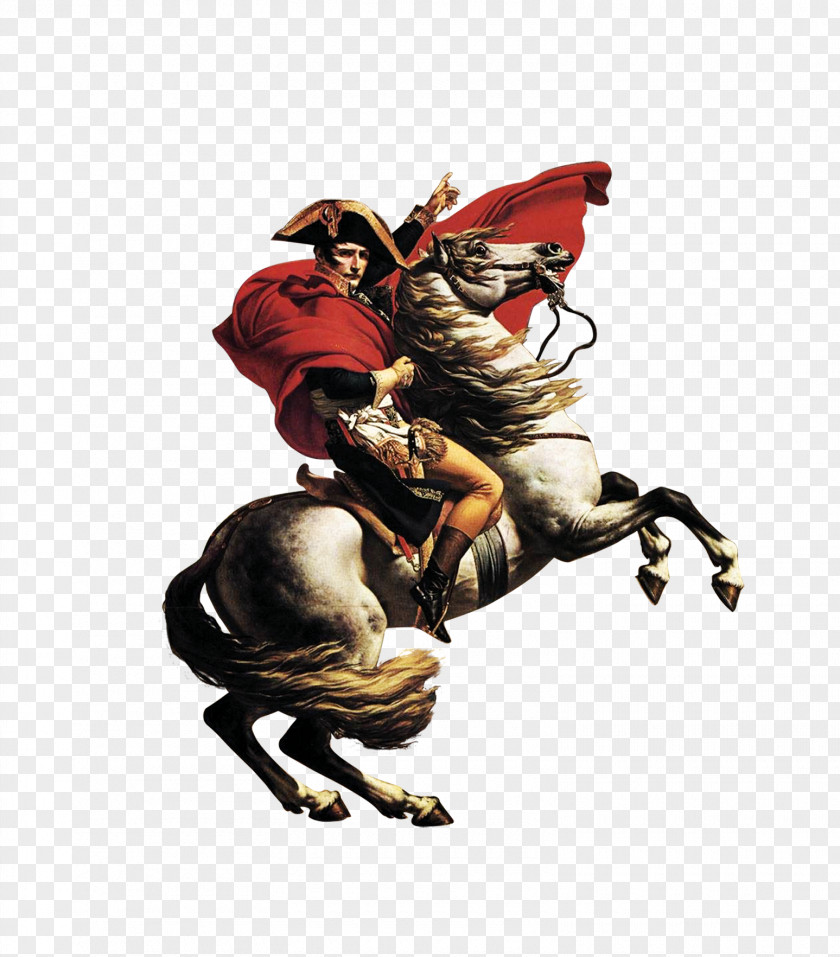 Knight On Horseback Horse Gallop Equestrianism PNG