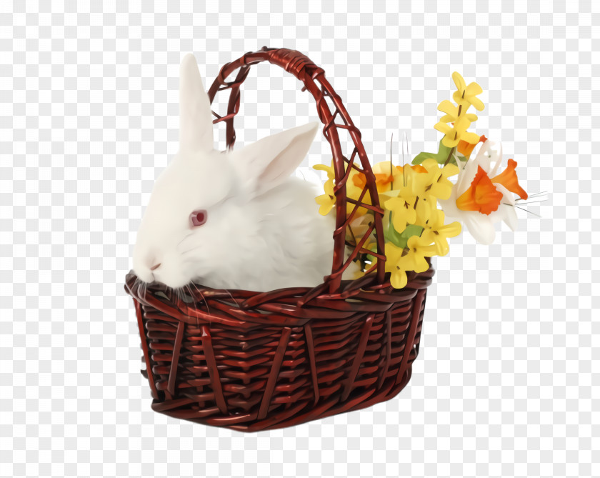 Rabbit Home Accessories Easter Bunny PNG