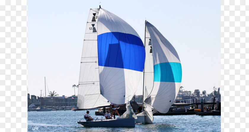 Sail Yacht Racing Club Sloop PNG