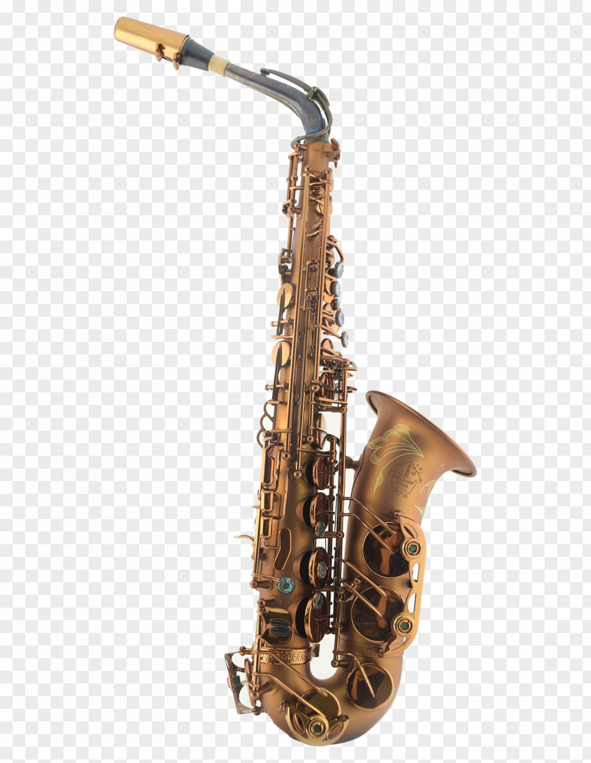 Saxophone Henri Selmer Paris Alto Mark VI Reference 54 PNG