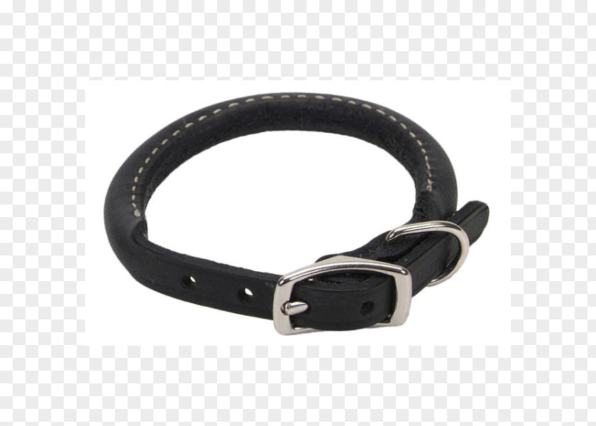 Dog Collar Cat Leash PNG