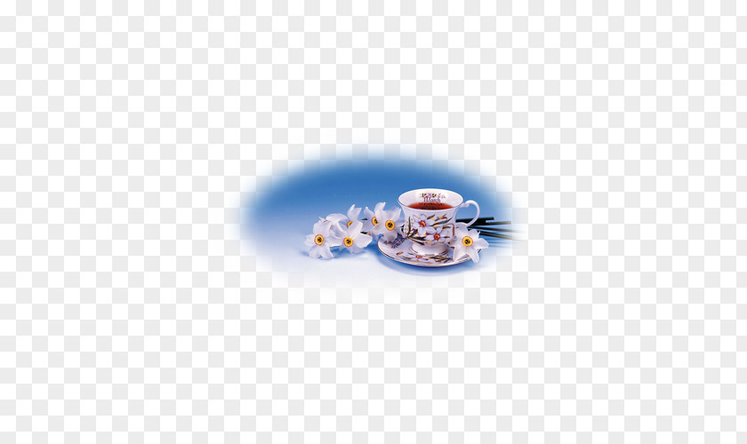 Enjoy Afternoon Tea Coffee Cup Porcelain Saucer Cobalt Blue PNG