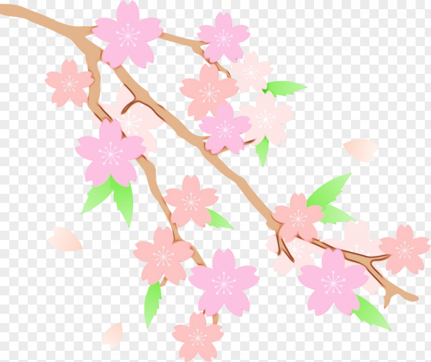 Floral Design Cat Chiba Prefecture Blossom PNG