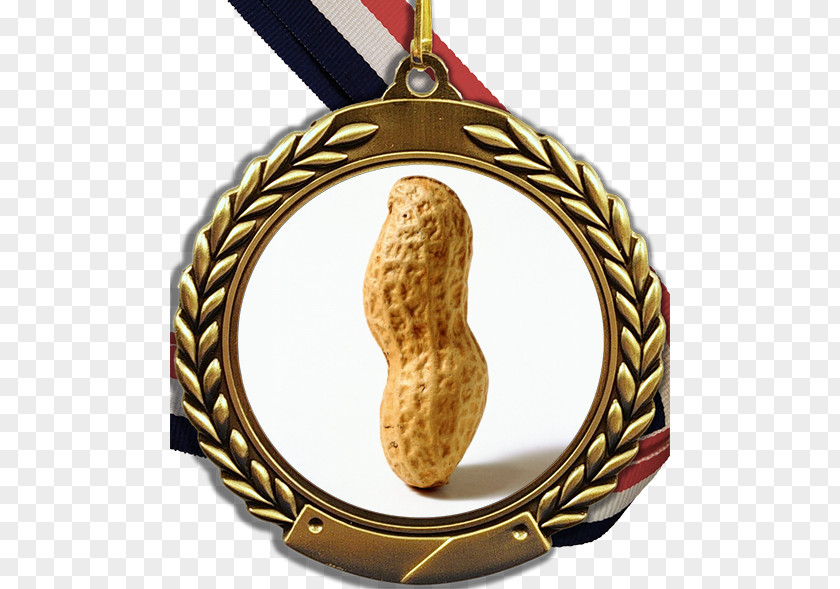 Medal Corn Dog Gold Bronze PNG
