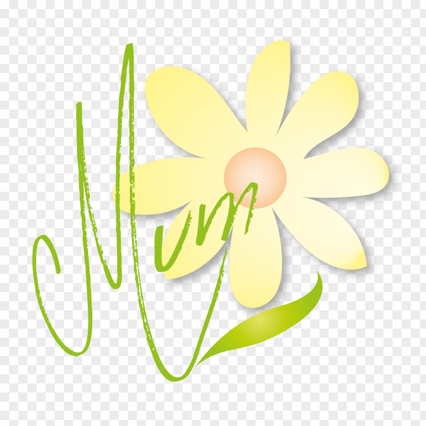 Mother's Day Cut Flowers Floral Design Plant Stem PNG