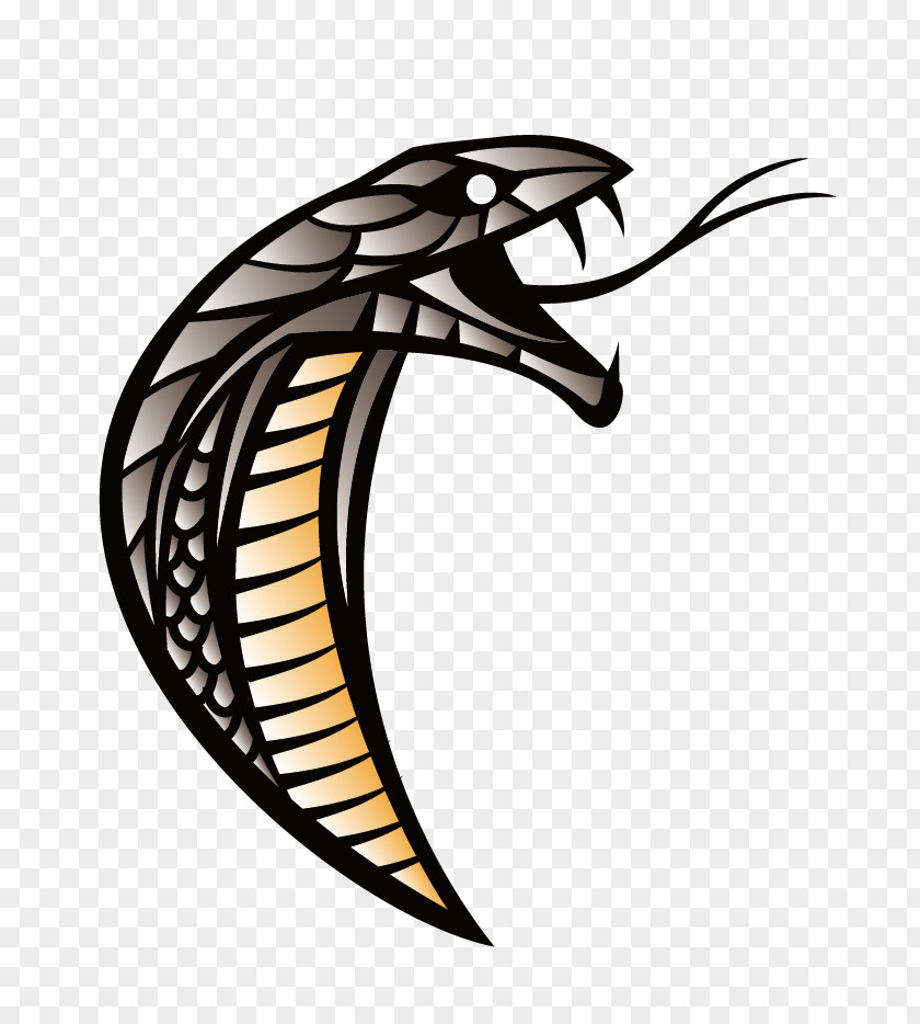 Snake Snakehead Clip Art PNG