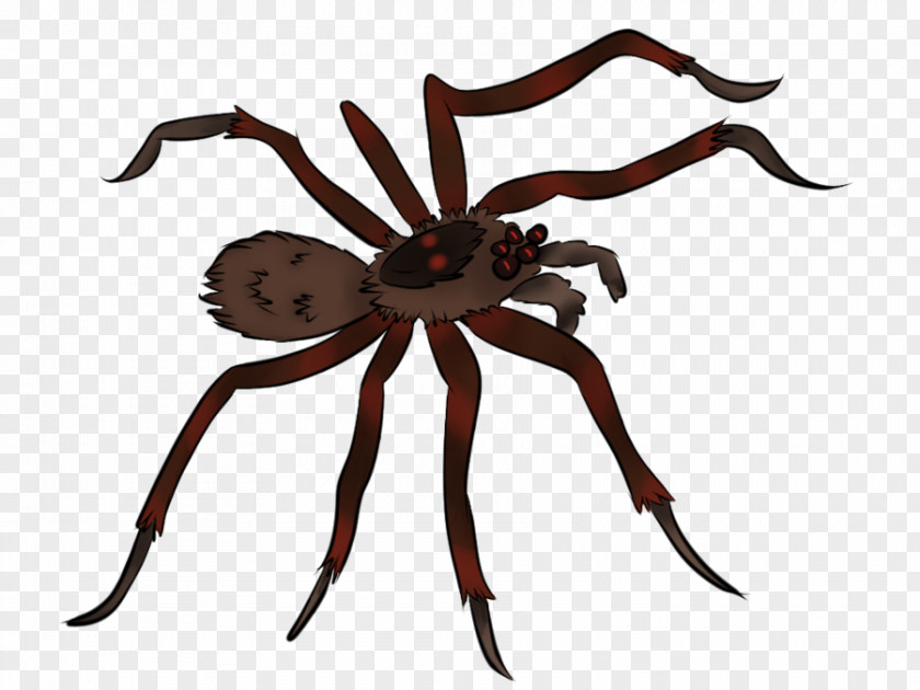 Animated Pictures Of Spiders Spider Animation Clip Art PNG