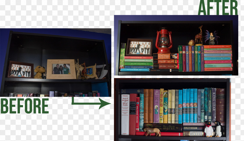 Bookcase Shelf Library Window PNG