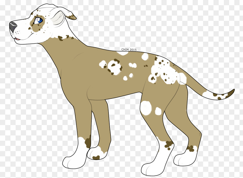 Cat Dog Breed Whippet Italian Greyhound PNG