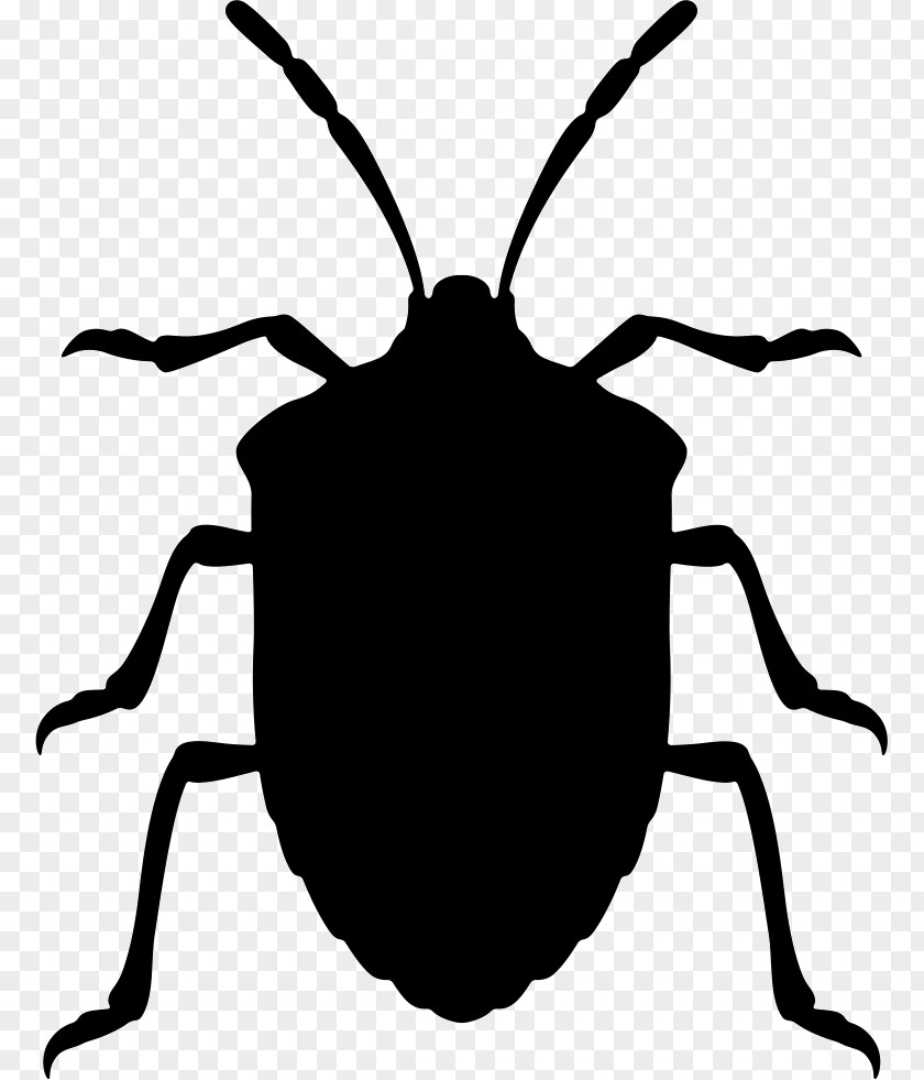 Ortak Stinkmorchel Beetle Sticker Brown Marmorated Stink Bug Wall Decal PNG