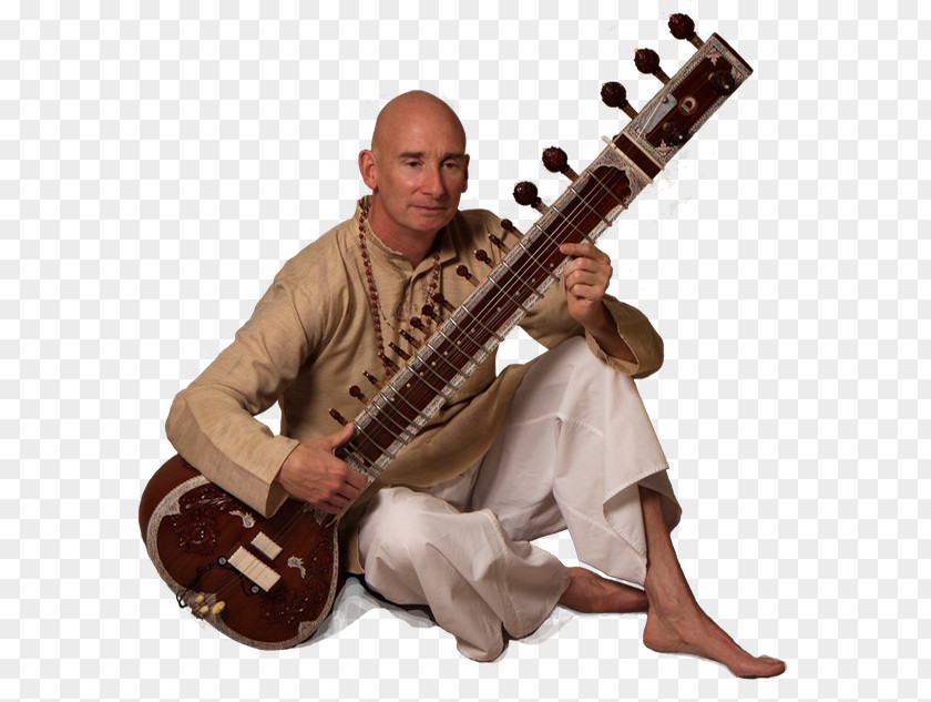 Sitar String Instruments Musical Surbahar Veena PNG