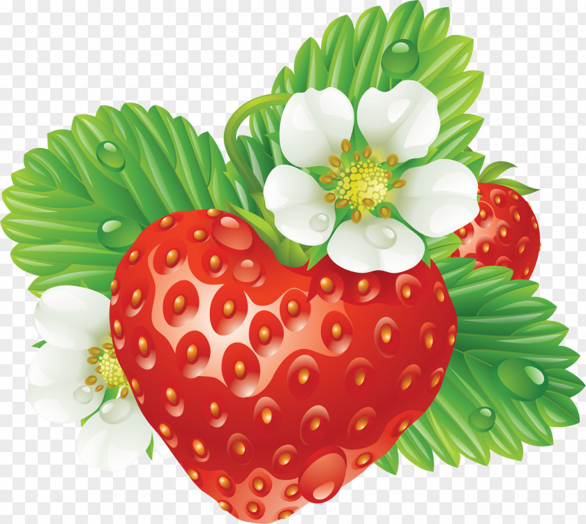 Strawberry Vector Graphics Clip Art Fruit Illustration PNG
