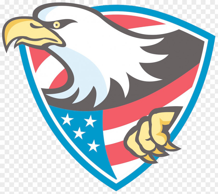 The Eagle Shield United States Bald Illustration PNG