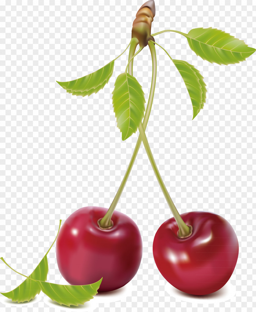 Cherry Decoration Royalty-free Clip Art PNG
