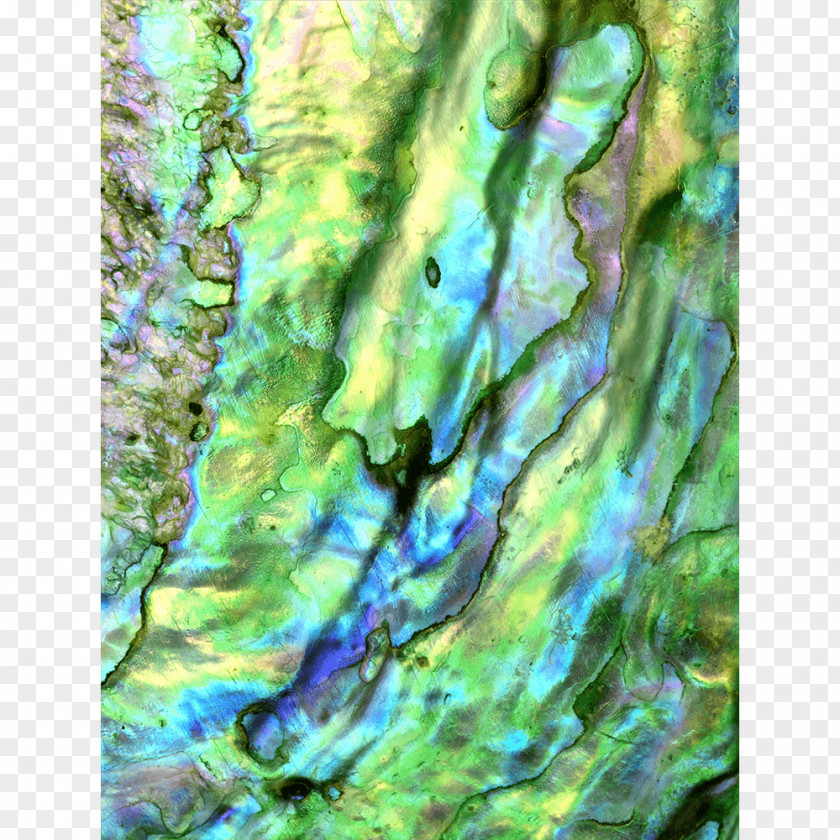 Painting Watercolor Green Acrylic Paint PNG