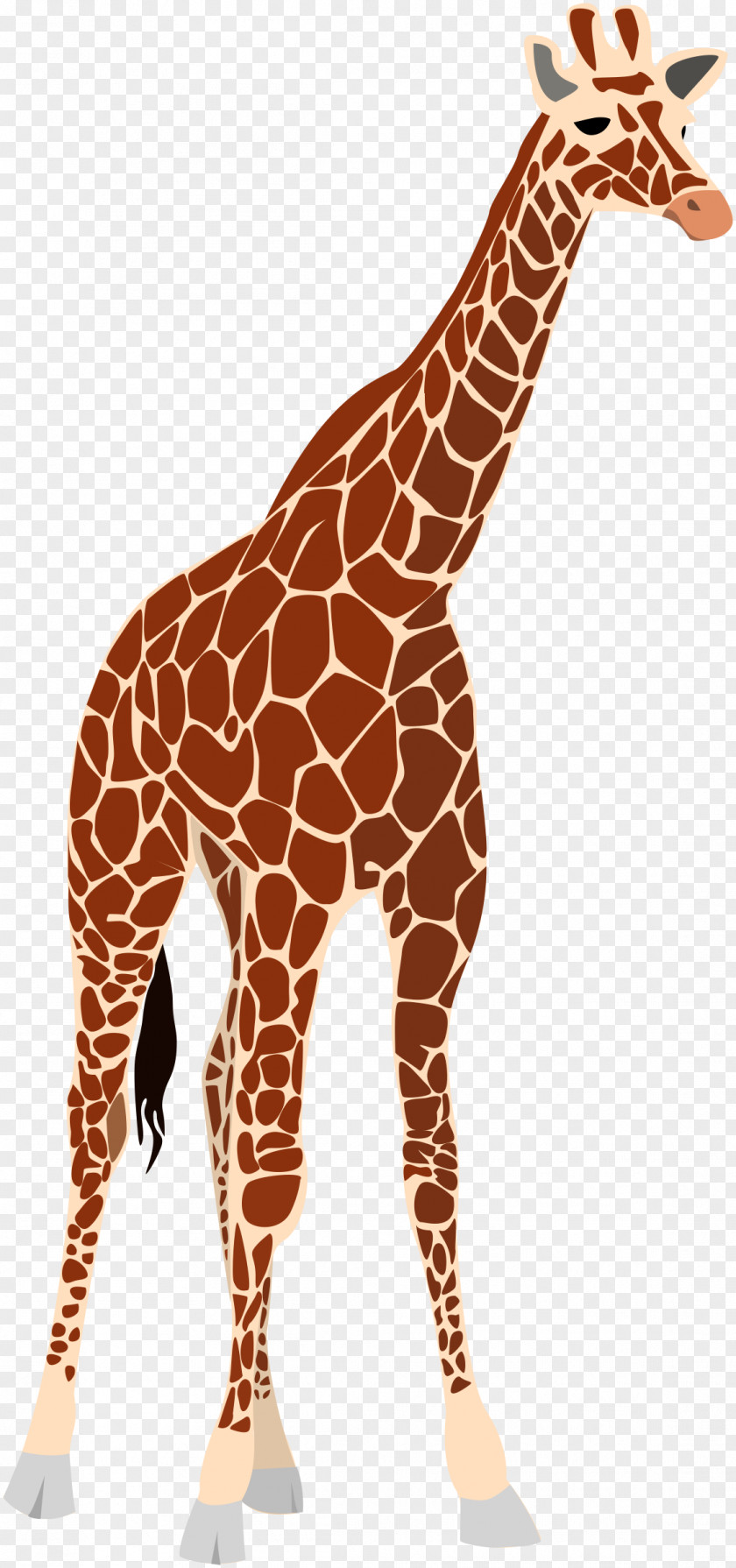 Safari Giraffe Okapi Royalty-free Clip Art PNG