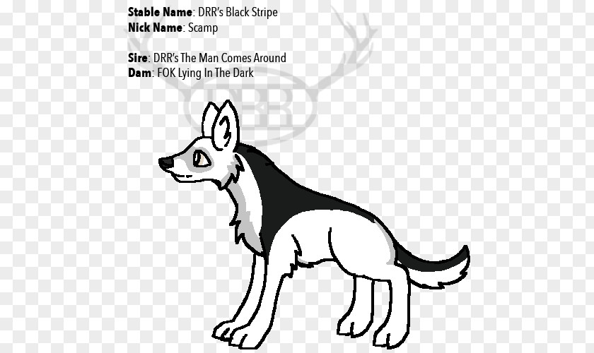 Dog Breed Red Fox Line Art Clip PNG