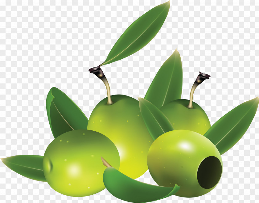 Green Olives Olive Euclidean Vector Clip Art PNG