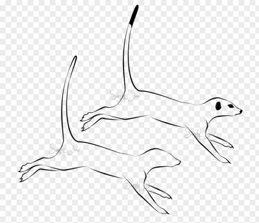 Meerkat Art Sketch PNG