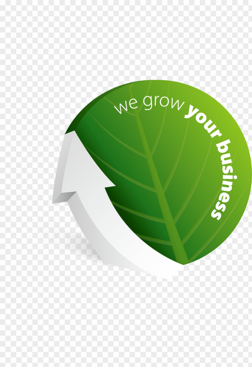 Plant Brand Leaf PNG