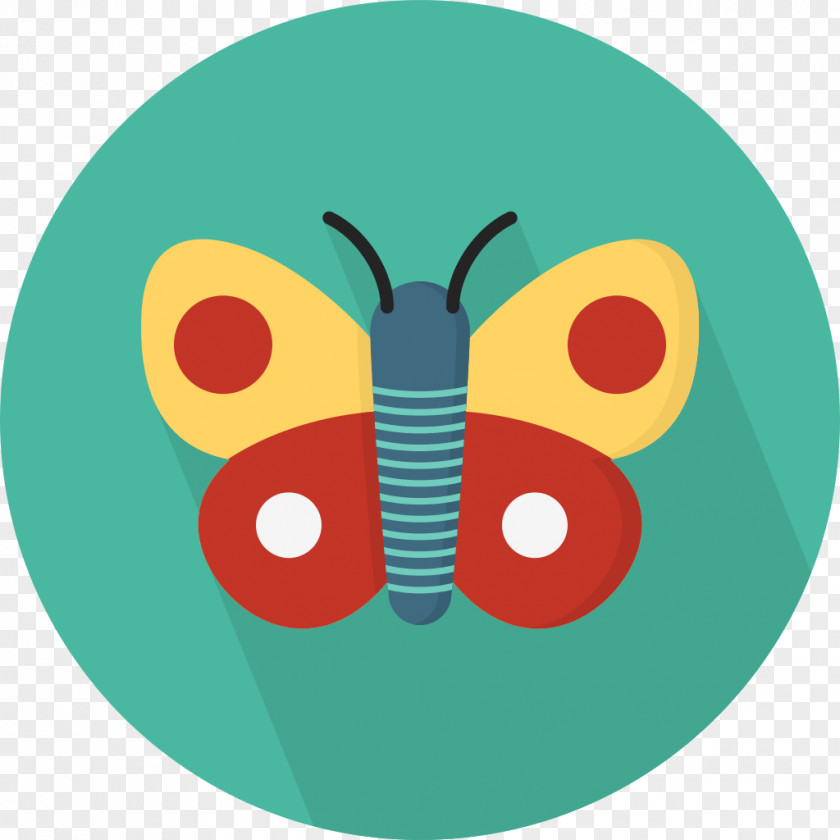 Creative Butterfly PNG