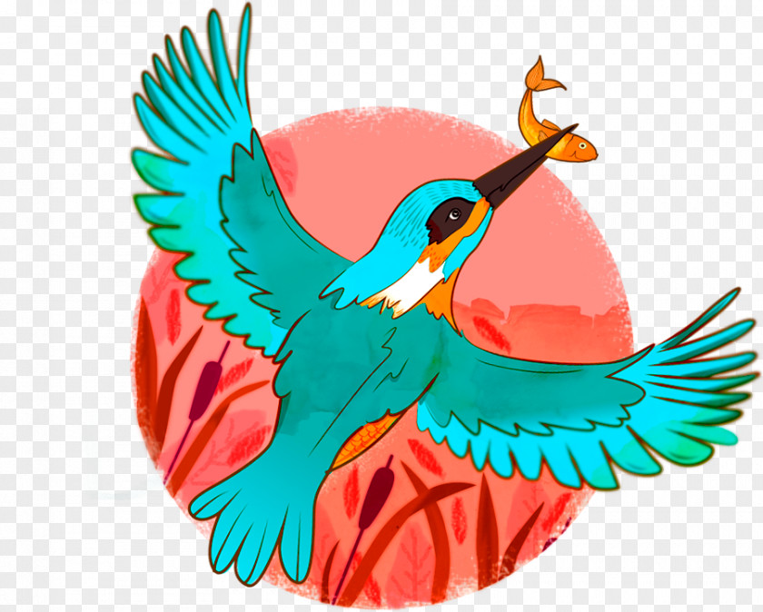 Feather Macaw Parakeet Clip Art PNG