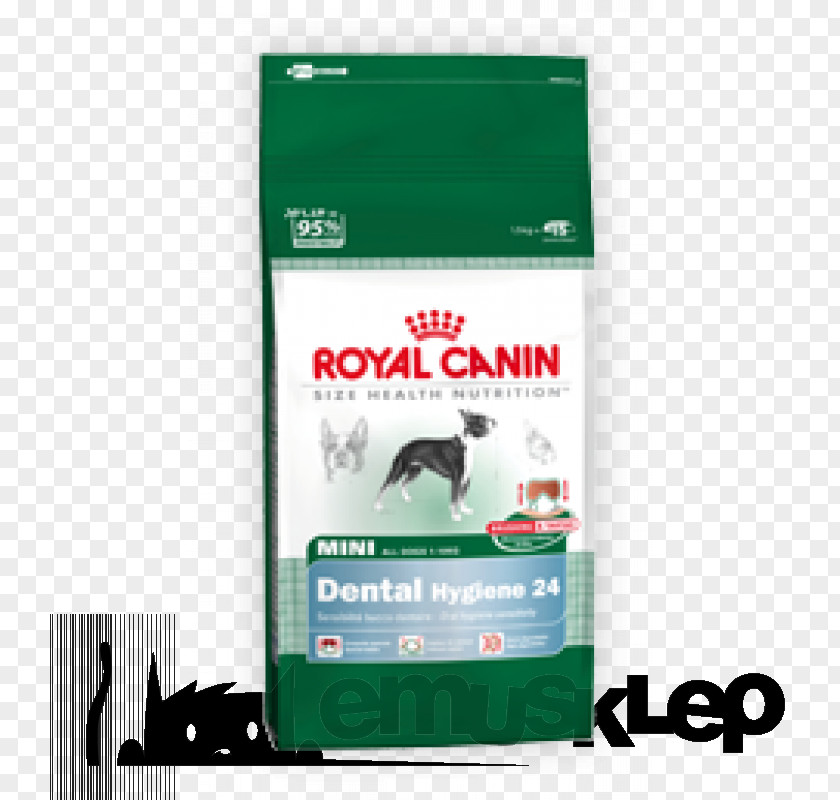 Golden Retriever Cat Food Royal Canin Dog Pet PNG