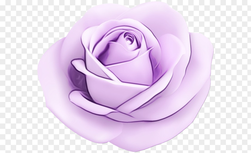 Lilac Rose Family Garden Roses PNG