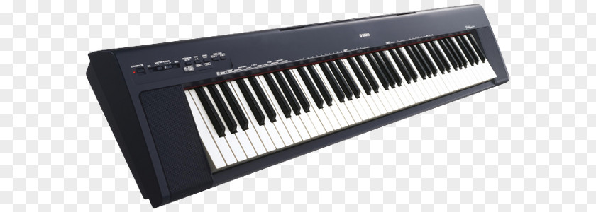 Musical Instruments Nord Electro Stage Piano PNG