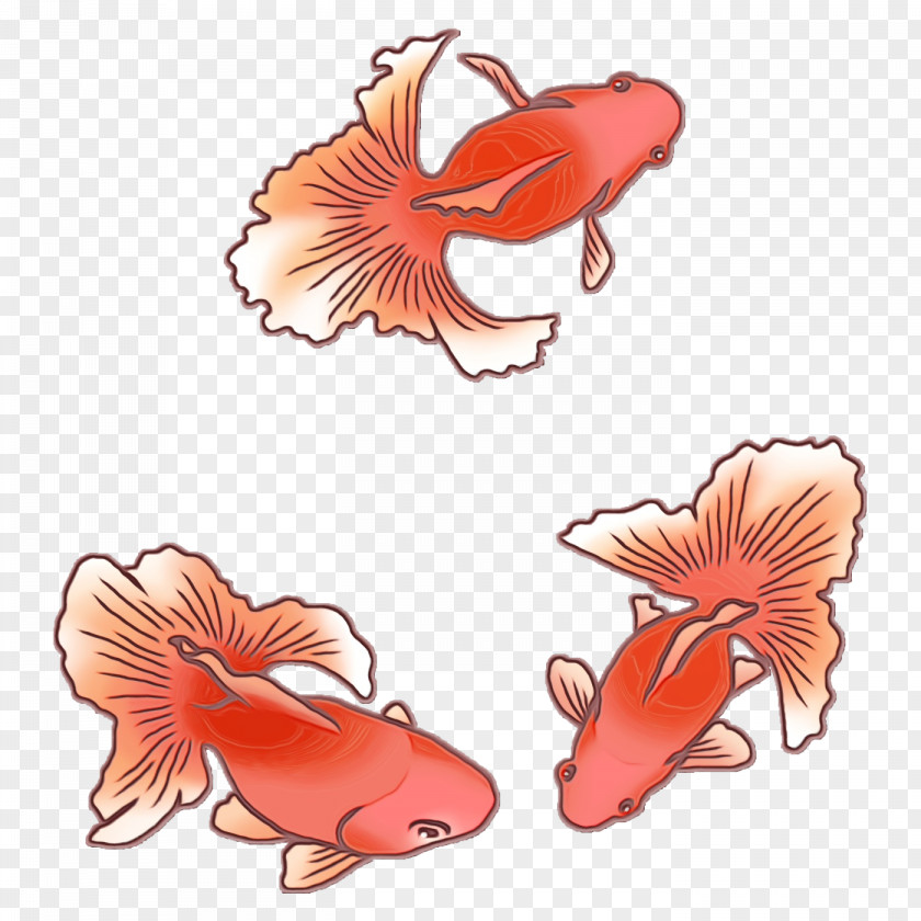 Fish Biology Science PNG