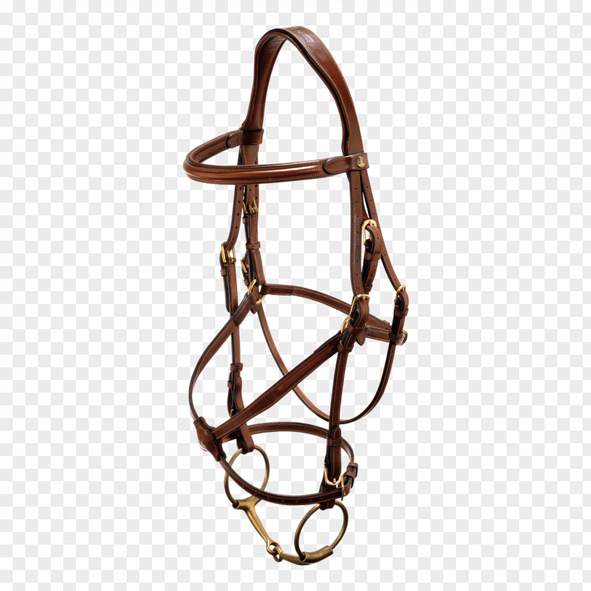 Horse Bit Bridle Filet Noseband PNG