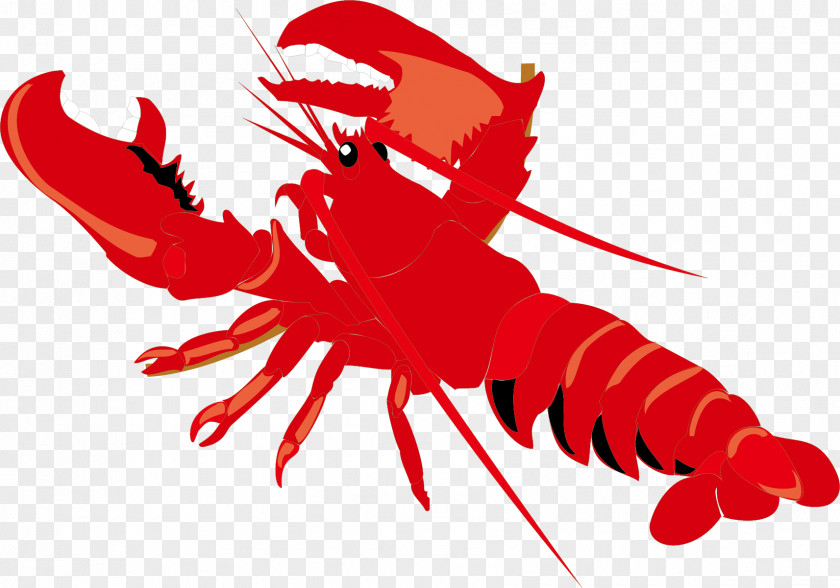 Lobster PNG , decorative red lobster clipart PNG